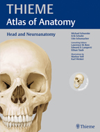 Head and Neuroanatomy (THIEME Atlas of Anatomy) 2010