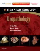 Uropathology A Volume in the High Yield Pathology Series (Expert Consult - Online and Print) 2012