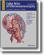 Color Atlas of Microneurosurgery Microanatomy, Approaches and Techniques Volume II: Cerebrovascular Lesions
