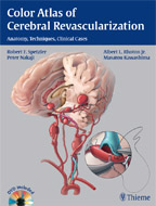 Color Atlas of Cerebral Revascularization: Anatomy, Techniques, Clinical Cases  Anatomy, Techniques, Clinical Cases
