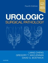 Urologic Surgical Pathology 4th Edition 2020