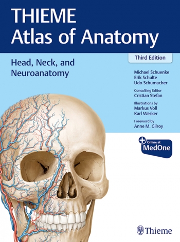 Head, Neck, and Neuroanatomy (THIEME Atlas of Anatomy) 3/E 2020