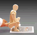 Anatomical Lifting Manikin